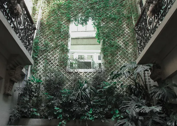 Nima Local House &