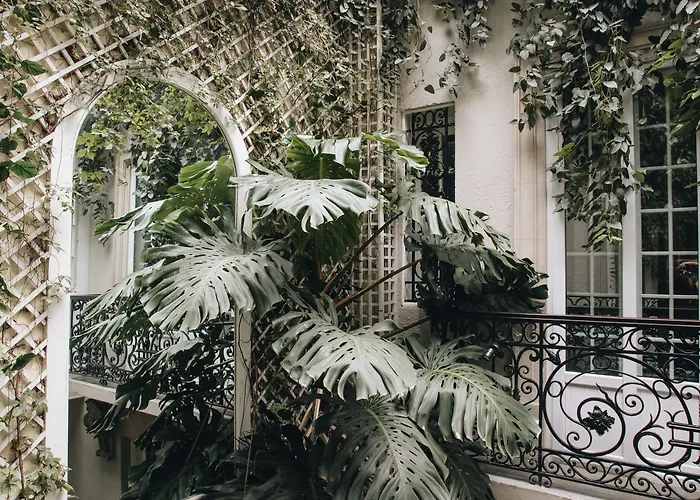 Отель Nima Local House Hotel & Spa